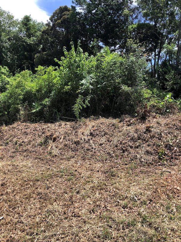 Land for Sale in Jiyugaoka, Tsukuba City, Ibaraki - 154.92m2 - Thumbnail 4