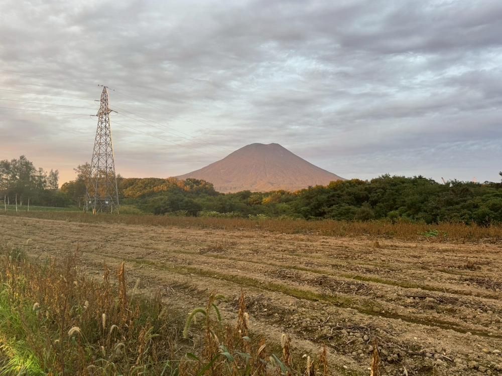 Vast Land Parcel in Niseko with Mt. Yotei Views - Thumbnail 4