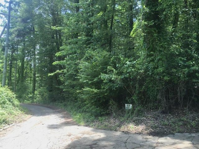 570 sqm Land for Sale in Komoro, Nagano - Near Mount Asama - Thumbnail 3