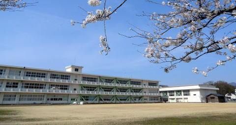 992 sqm Land for Sale in Awara City, Fukui - Thumbnail 4