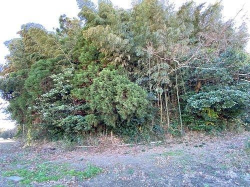 Land for Sale in Yokoshibahikari, Chiba - 7,688 sqm - Thumbnail 4