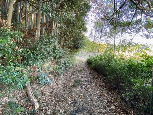 Land for Sale in Yokoshibahikari, Chiba - 7,688 sqm - Thumbnail 3