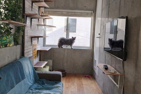 2DK Reinforced Concrete House for Sale in Ebisu, Shibuya - Thumbnail 4