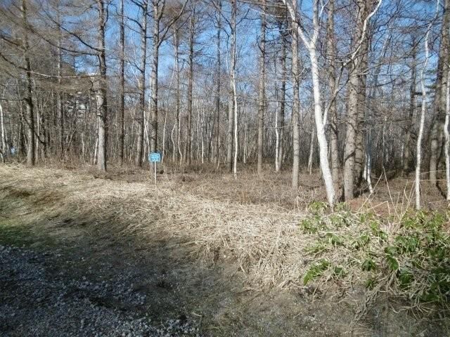 526m2 Land for Sale in Shikabe, Hokkaido with Hot Spring Rights - Thumbnail 4