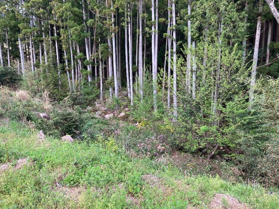 2722 sqm Land Plot for Sale in Iwaki, Fukushima - Thumbnail 3