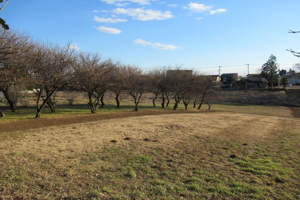 Land for Sale in Tsukuba City, Ibaraki - 1,275 m² - Thumbnail 3
