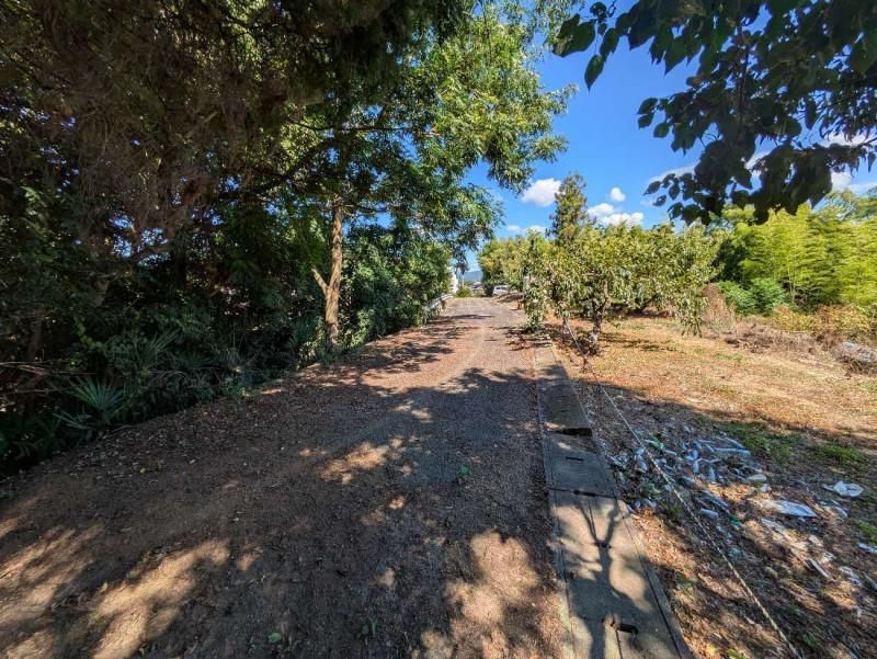 Land for Sale in Takamatsu, Kagawa - 6942 sqm - Thumbnail 2