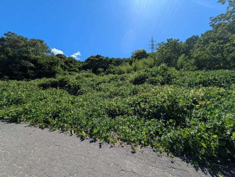 Land for Sale in Takamatsu, Kagawa - 6942 sqm - Thumbnail 3