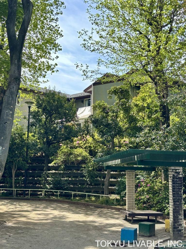 Spacious 7LDK Two-Family House in Suginami, Tokyo - Thumbnail 4