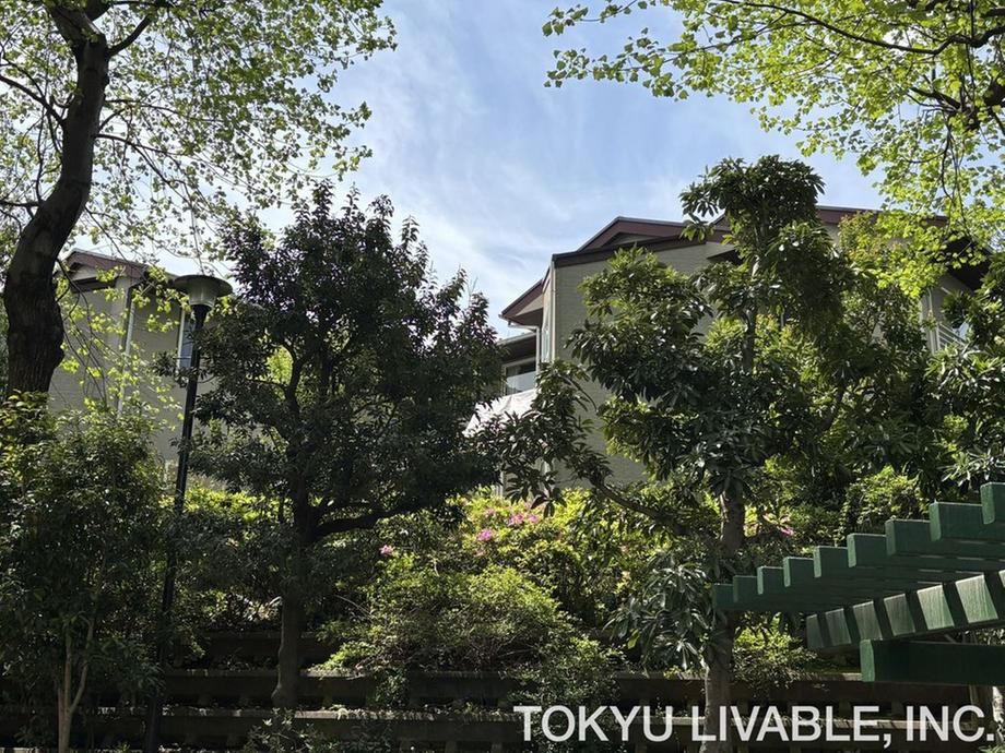 Spacious 7LDK Two-Family House in Suginami, Tokyo - Thumbnail 3