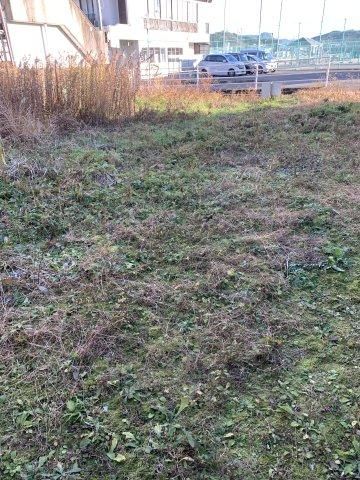 Building Land for Sale in Ino Town, Kochi - 165 sqm - Thumbnail 4