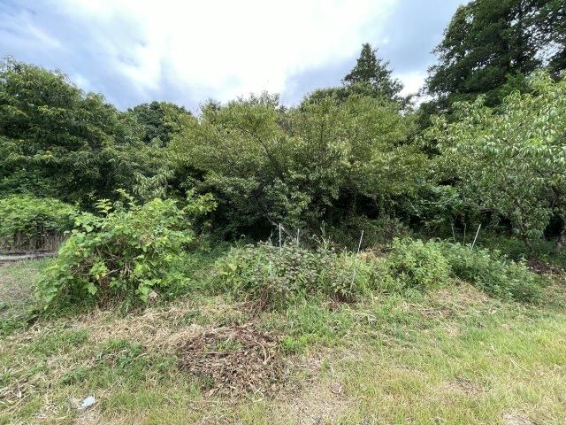 Land for Sale in Tsukuba City, Ibaraki - 264m2 - Thumbnail 4