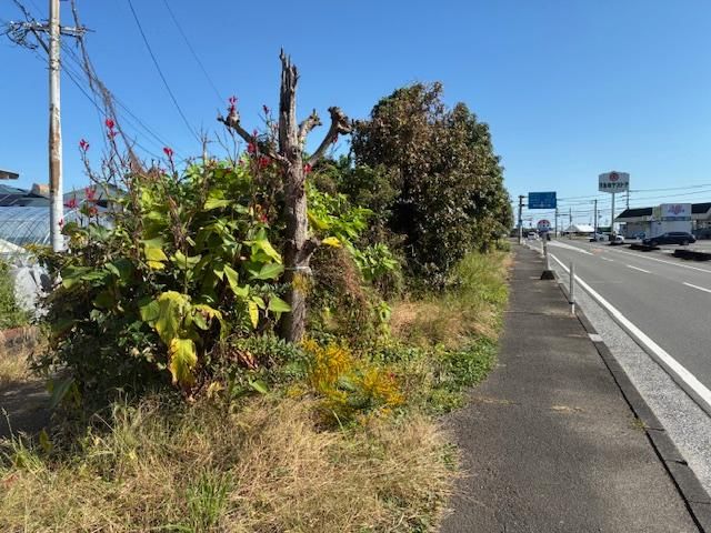 Land for Sale in Miyazaki City, 428 sqm - Thumbnail 4