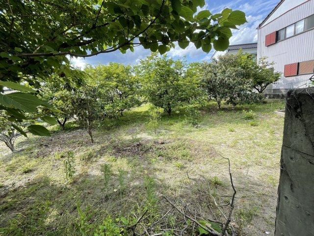 583 sqm Land for Sale in Niida, Kochi City, Kochi - 6 million yen - Thumbnail 4
