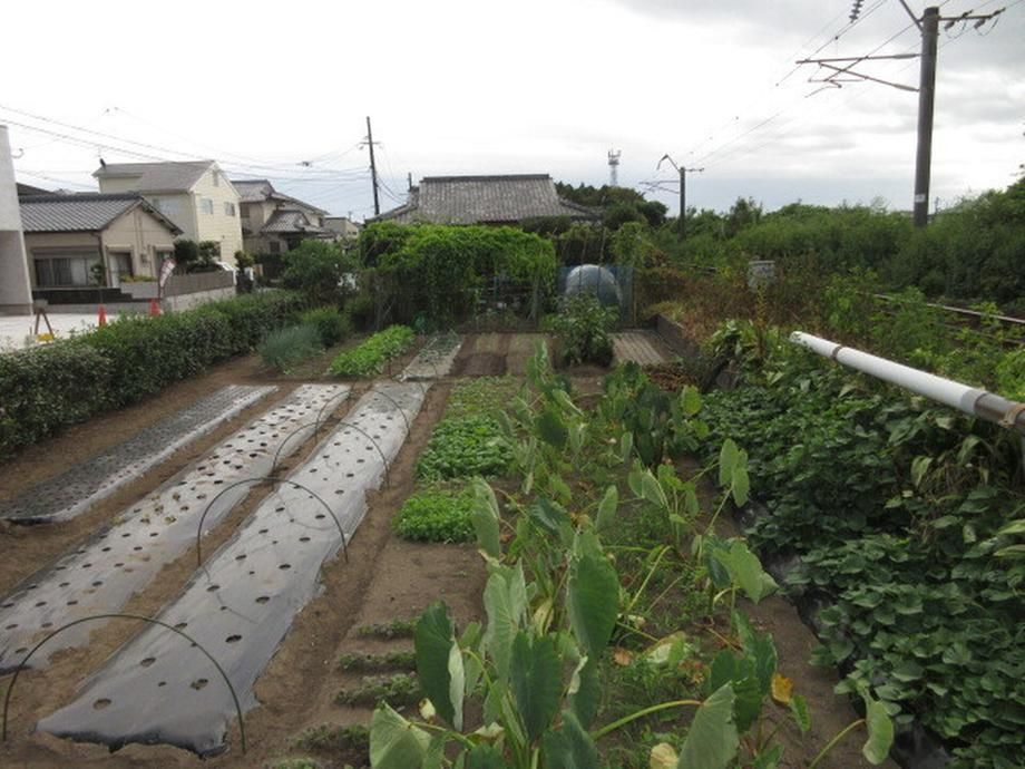 265m2 Land for Sale in Miyazaki City, Miyazaki Prefecture - Thumbnail 2