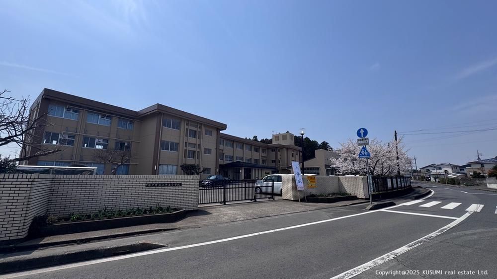 204m2 Land for Sale in Mito, Ibaraki - Corner Lot Near Otsuka Pond - Thumbnail 2
