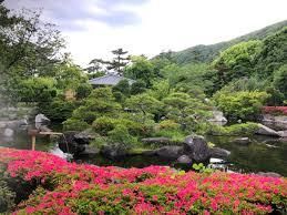 Land for Sale in Hayama, Kanagawa – 155.88 sqm Building Condition Free - Thumbnail 4