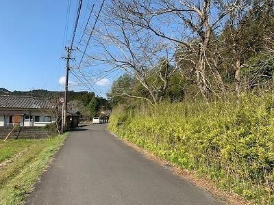 Large 1627m2 Land for Sale in Takaoka-cho, Miyazaki - Thumbnail 3