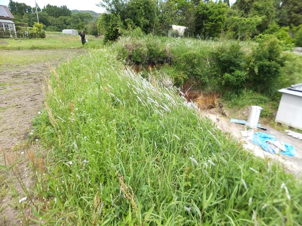 Land for Sale in Takajo-cho, Miyakonojo City, 571 sqm - Thumbnail 4