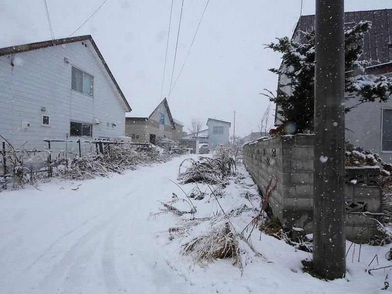 Land for Sale in Ebetsu City, Hokkaido - 120m² - Thumbnail 4