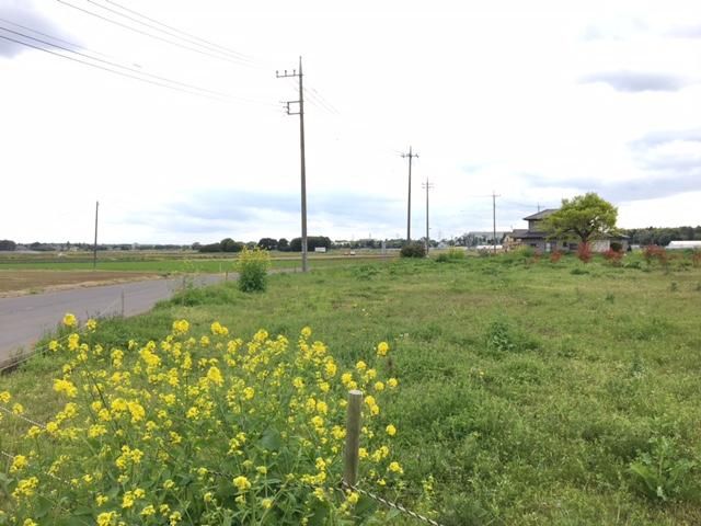Land for Sale in Kamisato, Tsukuba City, Ibaraki - Thumbnail 3