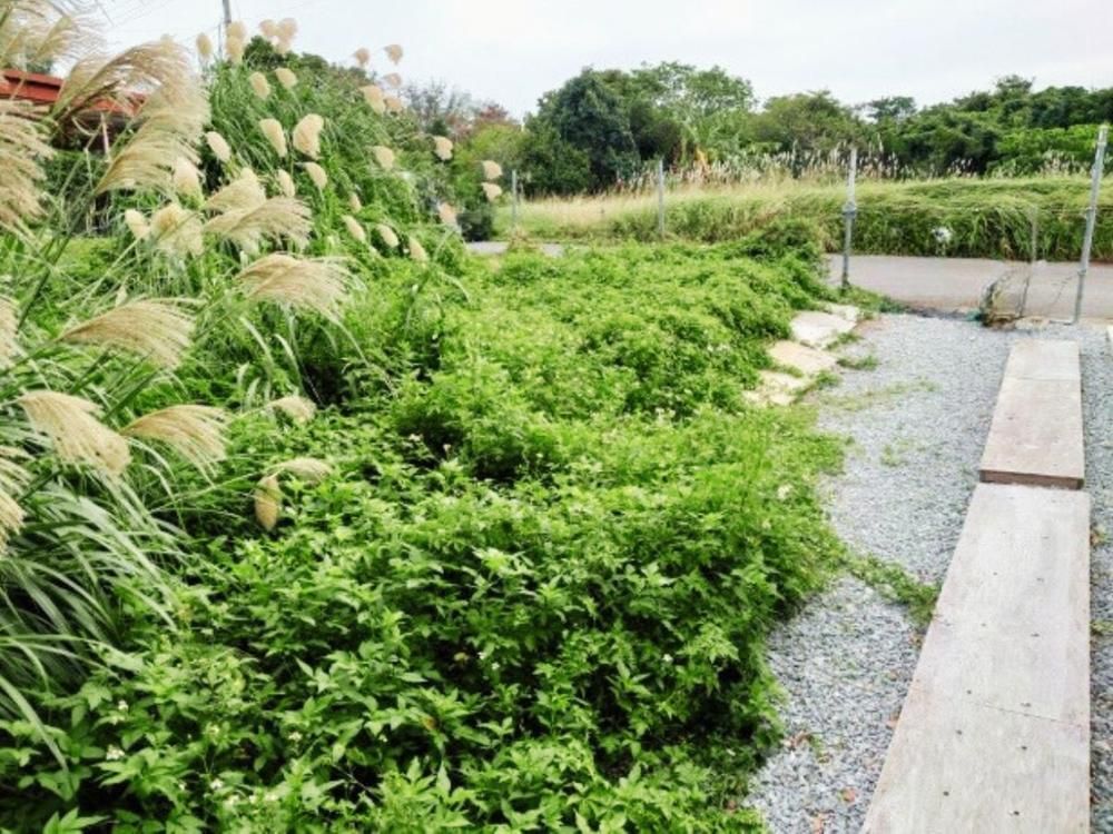 Land for Sale in Onna Village, Okinawa - 164 sqm - Thumbnail 3