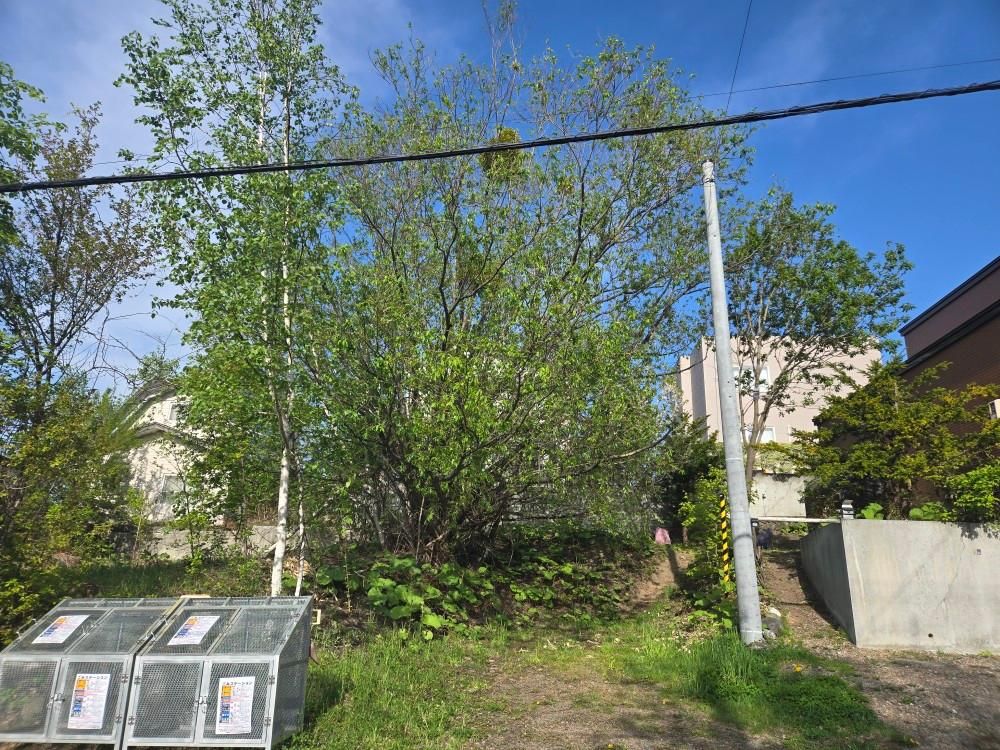 Land for Sale in Minami-ku, Sapporo - 271 sqm - Thumbnail 2