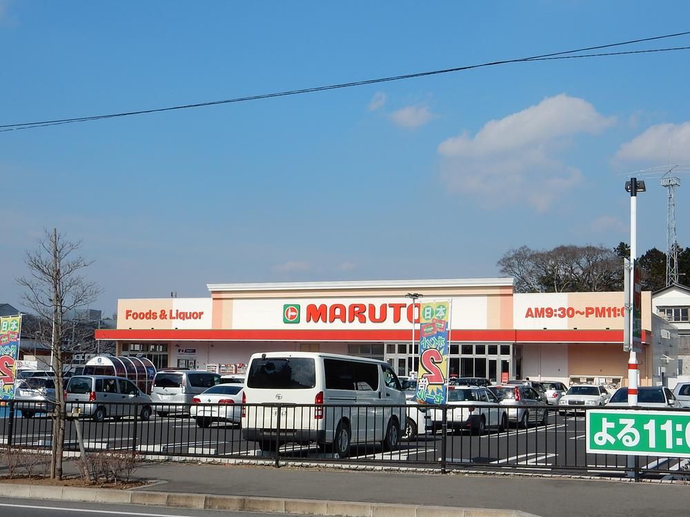 Land for Sale in Mito City, Ibaraki - 392.61 sqm - Thumbnail 4