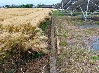 Land for Sale in Chikuzen Town, Fukuoka - 414m2 Plot - Thumbnail 4