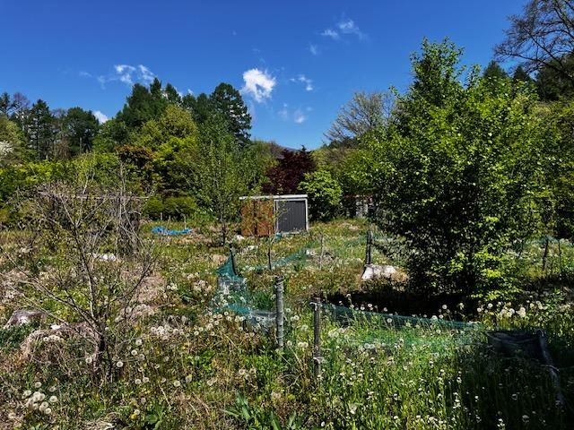 Land for Sale in Karuizawa, Nagano - 608m2 - Thumbnail 3