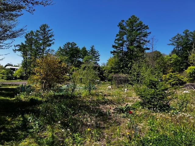 Land for Sale in Karuizawa, Nagano - 608m2 - Thumbnail 2