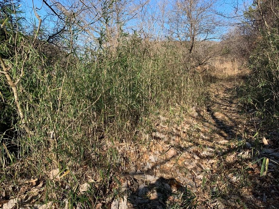 292m2 Land Plot for Sale in Sendai's Taihaku Ward - Thumbnail 3