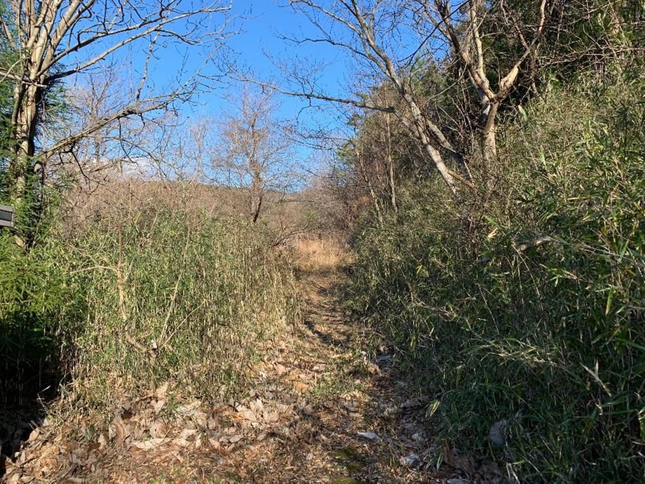 292m2 Land Plot for Sale in Sendai's Taihaku Ward - Thumbnail 4