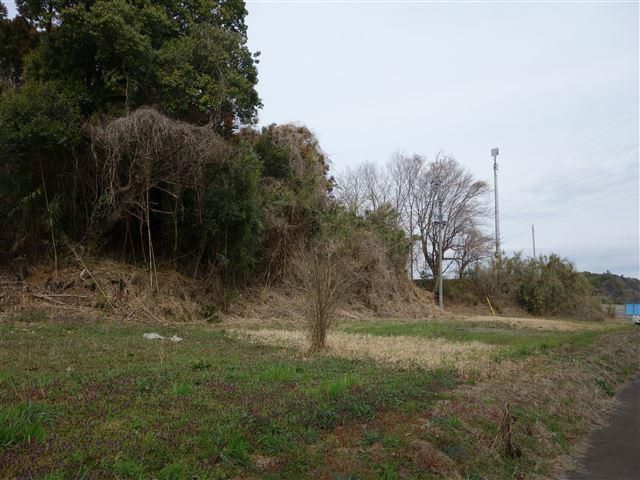 103-Ping Land for Sale in Shimana, Tsukuba City - Image 1