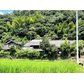 Land for Sale in Kami City, Kochi - 411.99 m² Plot - Thumbnail 3