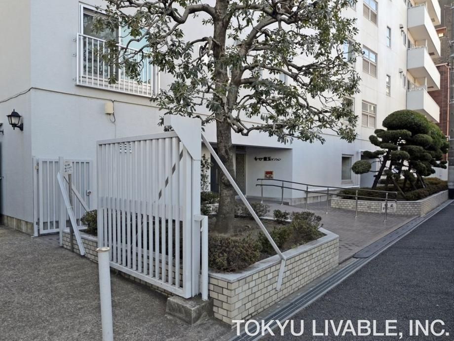 Renovated 2DK Apartment with Garden in Nerima, Tokyo - Thumbnail 4