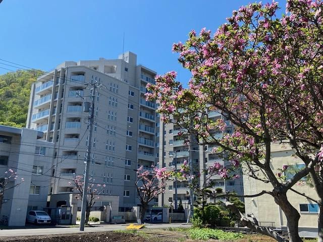 2LDK Apartment for Sale in Chuo-ku, Sapporo - Thumbnail 2