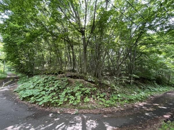 Land for Sale in Minami-ku, Sapporo - 1983 sqm Corner Plot - Thumbnail 2