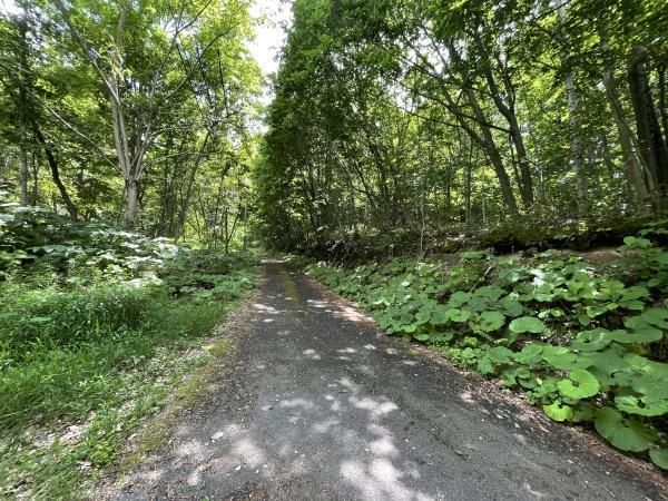 Land for Sale in Minami-ku, Sapporo - 1983 sqm Corner Plot - Thumbnail 3