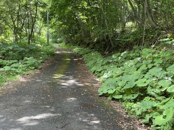 Land for Sale in Minami-ku, Sapporo - 1983 sqm Corner Plot - Thumbnail 4