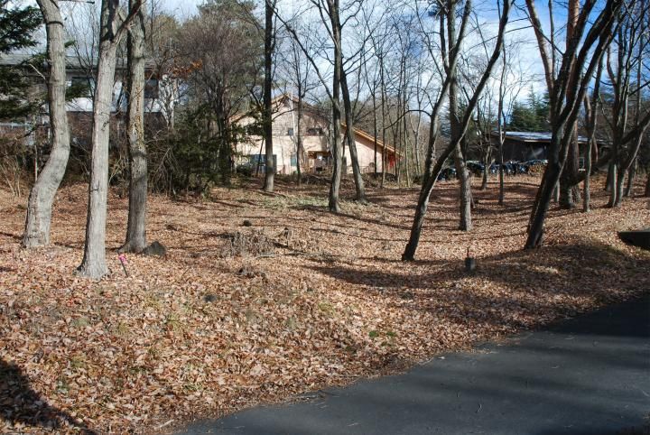 397m2 Building Plot for Sale in Karuizawa, Nagano - Thumbnail 4