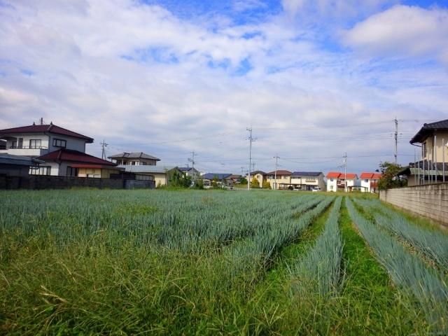 453m2 Vacant Land for Sale in Maebashi, Gunma - Thumbnail 4