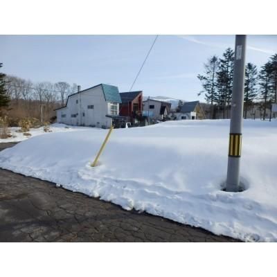 226m2 Land for Sale in Higashi-Onuma, Nanae-cho, Hokkaido - Thumbnail 4