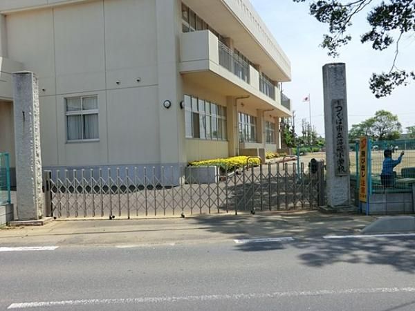 Land for Sale in Sakamaru, Tsukuba City, 307.76 sqm - Thumbnail 4