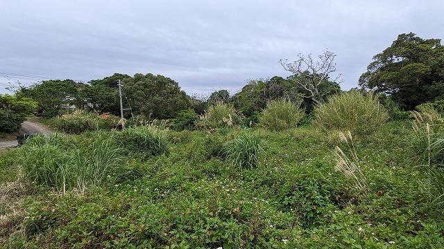 Land for Sale in Motobu Town, Okinawa - 1,082 sqm - Thumbnail 4