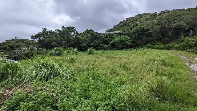 Land for Sale in Motobu Town, Okinawa - 1,082 sqm - Thumbnail 3