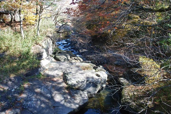 Large 2017sqm Land for Sale in Karuizawa, Nagano - Thumbnail 3