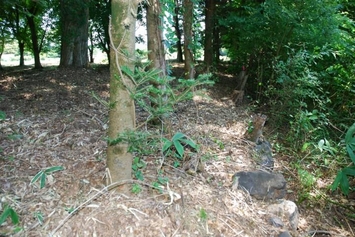 Large 2017sqm Land for Sale in Karuizawa, Nagano - Thumbnail 4