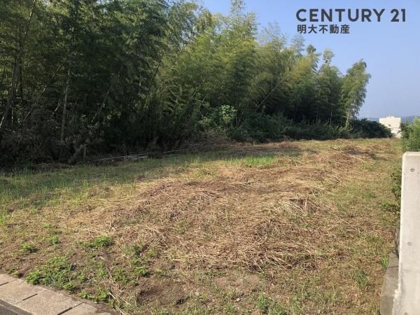 Land for Sale in Miyazaki City - 598 sqm - Thumbnail 4