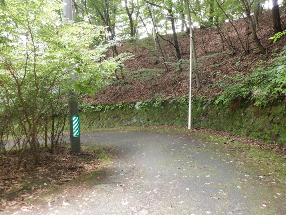Land for Sale in Karuizawa, Nagano - 718 sqm - Thumbnail 4